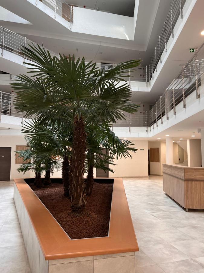 Panorama View Apartment In City Center Héviz Zewnętrze zdjęcie